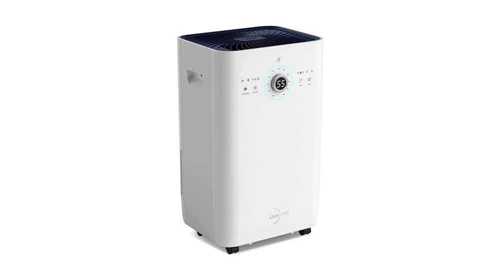 Commercial Dehumidifier Choices for Business Use